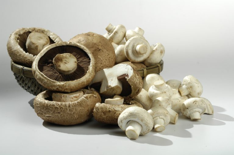 Fortalece tu sistema inmune gracias a los champiñones