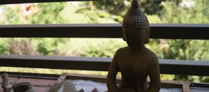 Segunda parte: Gemoterapia, los beneficios de las piedras