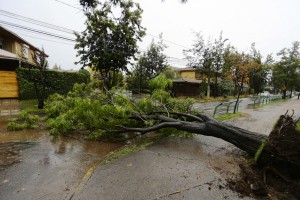¡Precaución! Calles cortadas, pasos bajo nivel anegados y semáforos apagados