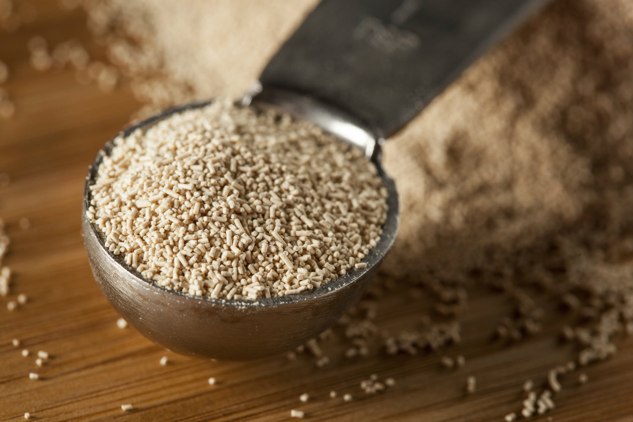 ¿Conoces la levadura de cerveza?