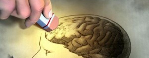 ¡Impresionante! El consumo de aceite de coco evitaría el alzheimer