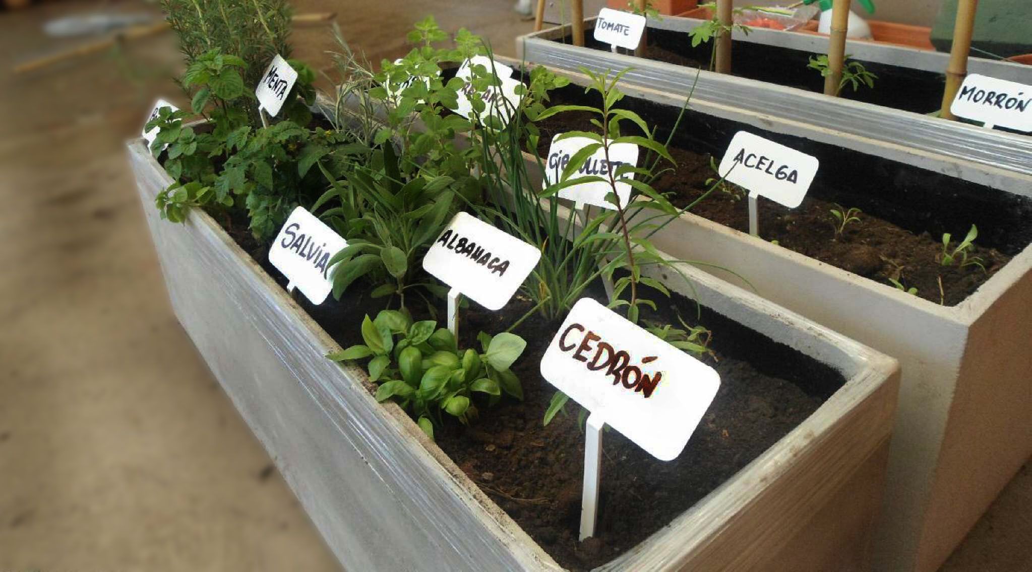 Arma tu propia huerta