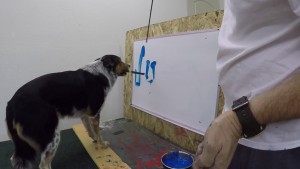¡Un perro artista! Escribe su nombre y "Te amo" con pincel y pintura