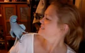 3 millones de personas han reído con la conversación entre un loro y su dueña