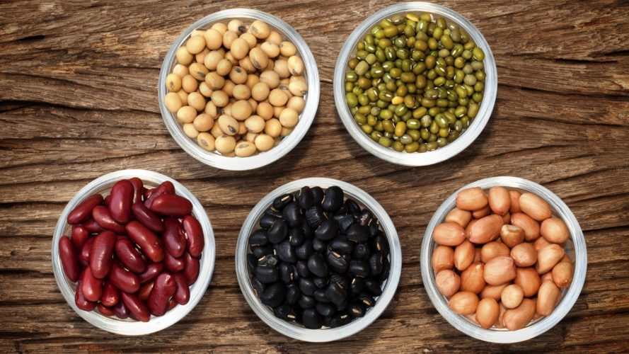 Cucumis sativus, el pepino persa, de piel delgada esbelta con frutas de color verde oscuro de la