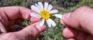 ¿Me quiere mucho, poquito o nada? 4 Señales que te ayudarán a descubrirlo