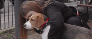 Perrita viajó desde España a Inglaterra para reencontrarse con su dueña que tanto extrañaba