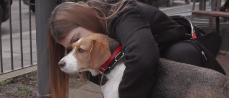 Perrita viajó desde España a Inglaterra para reencontrarse con su dueña que tanto extrañaba