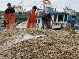 ¿Qué pasa con la marea roja en el sur de Chile?