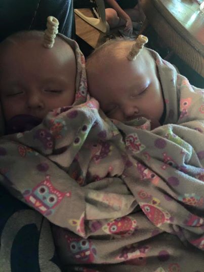 13442248_10154146851906427_5675675588565031839_n