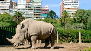 ¡Digno de imitar! Conoce la decisión que tomaron en el zoológico de Buenos Aires
