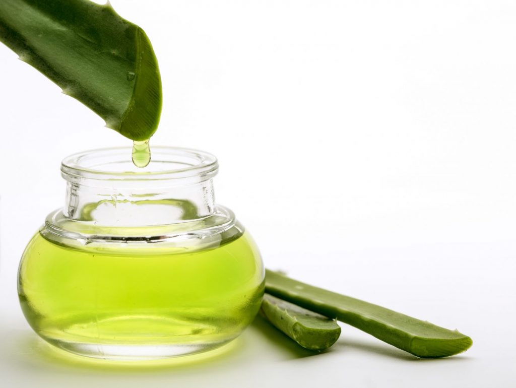 Aloe vera, las increíbles propiedades de esta planta medicinal — FMDOS