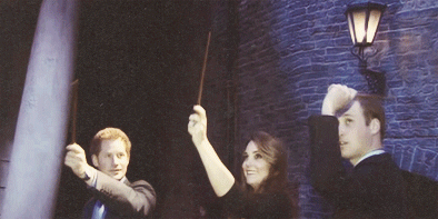 Principe William gif13