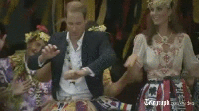 Principe William gif5