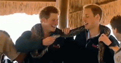 Principe William gif7