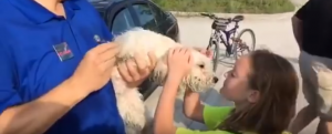 ¡Digno de aplaudir! Así rescató este hombre a un perro atrapado dentro de un auto