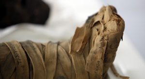 Agricultores encontraron sepultura con personas momificadas en Copiapó