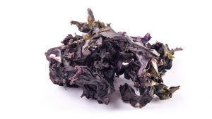 #DatoSaludableALaChilena: El Luche, descubre los beneficios de esta alga