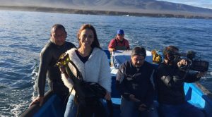 Descubre el poder de las algas, ¡te sorprenderás!