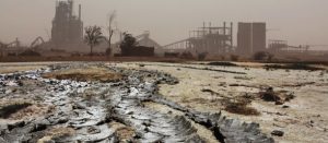 Científicos aseguran que la humanidad está viviendo un proceso de extinción masiva