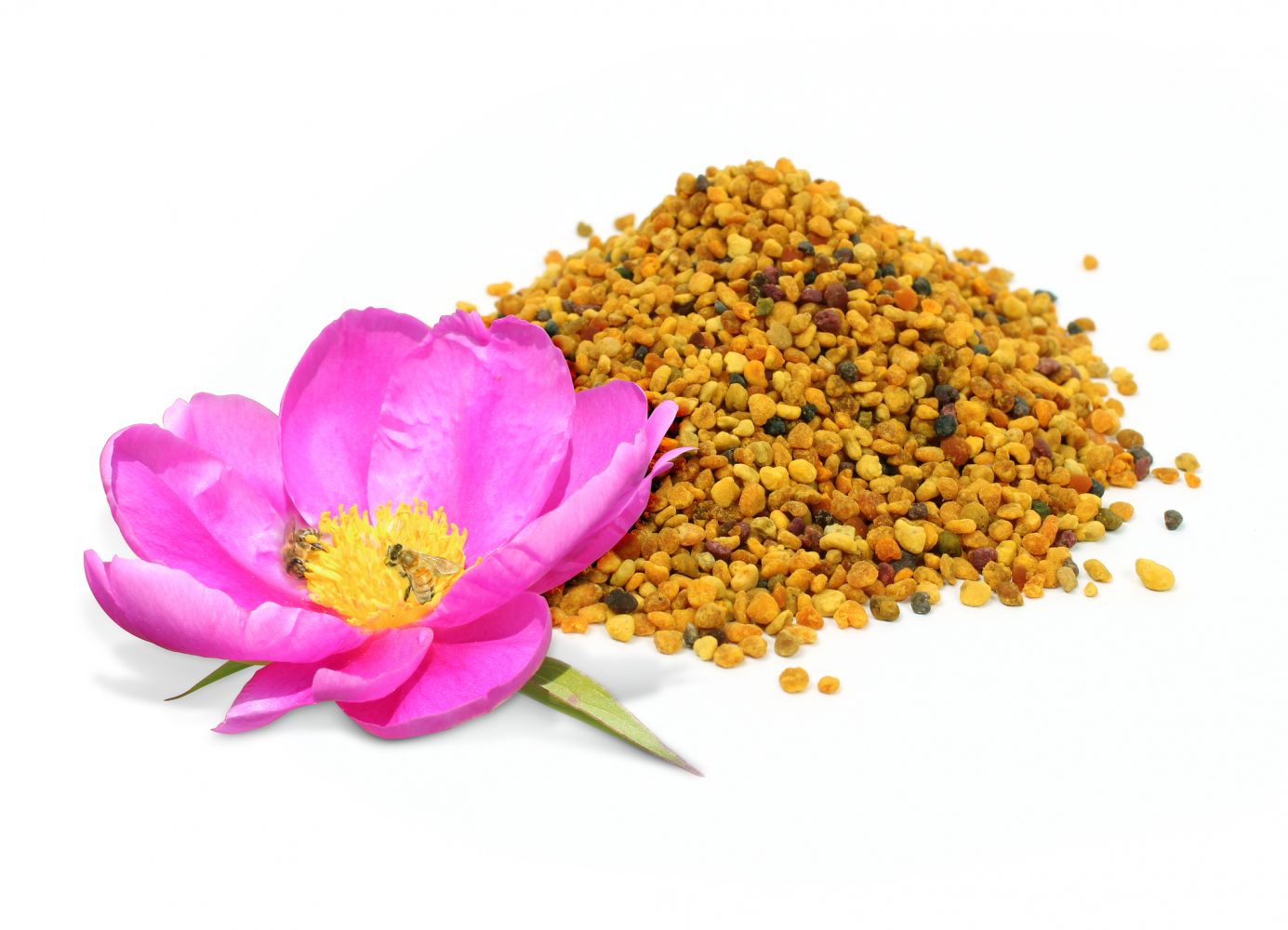 Refuerza tu sistema inmune gracias a la jalea real