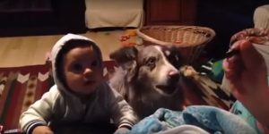 ¡Aww! ¿Quién dice mamá primero? Mira la competencia entre un bebé y un perro