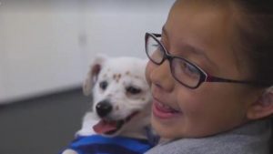 ¡Una verdadera historia de amor! Esta niña y su perro se comunican a través de señas por una sola razón