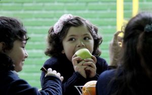 Municipalidad de Lo Barnechea se la juega para combatir la obesidad infantil