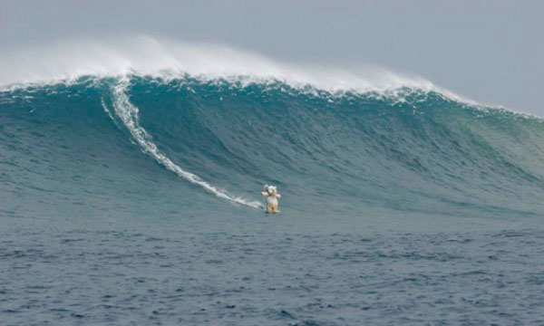 Peluche elefante viajero 12