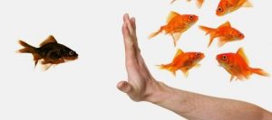 ¡Digno de imitar! Con este gesto, intentan terminar con la xenofobia en Europa