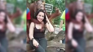 ¡A este orangután se le pasó la mano con los abrazos!