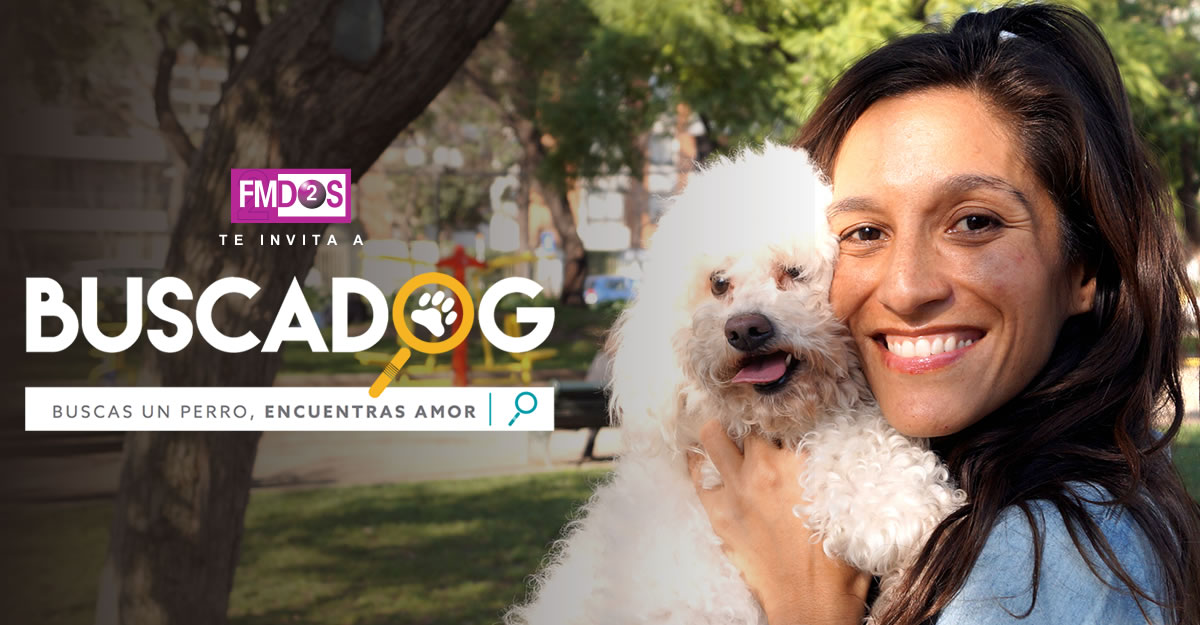 Buscadog.cl ¡Entrega amor adoptando a un perro! ❤