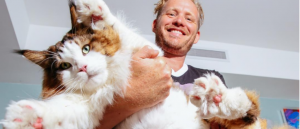 ¿Es este el gato más grande del mundo?