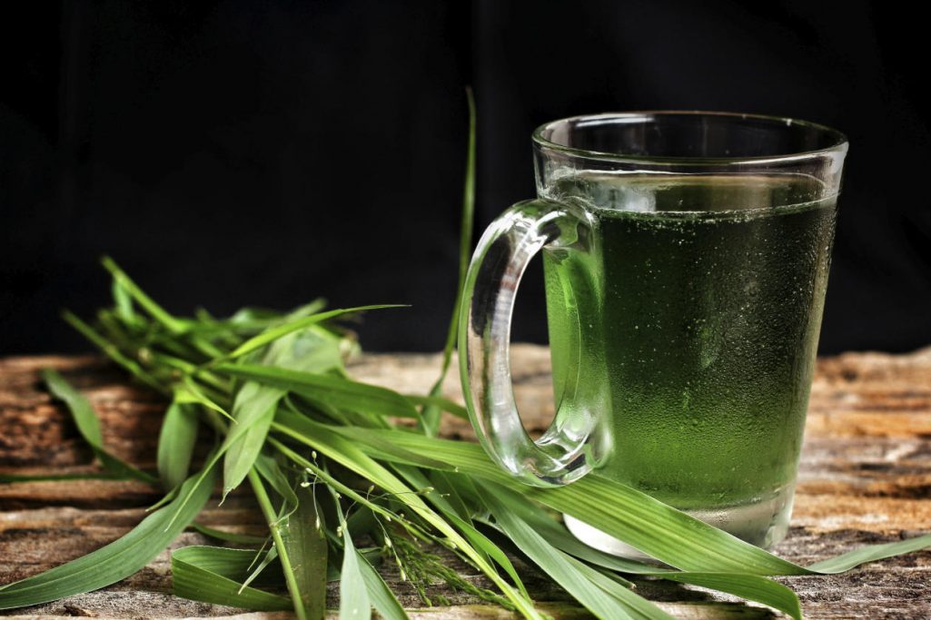 ¿Te falta energía? Entonces necesitas clorofila