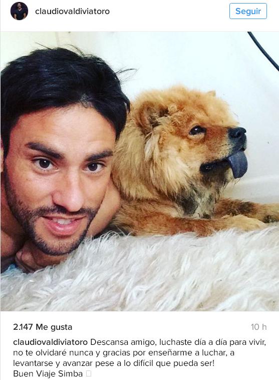 claudio valdivia perro