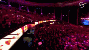 ¿Nuevo artista confirmado para Viña 2017?