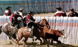 Conoce más de la polémica de los rodeos en Santiago