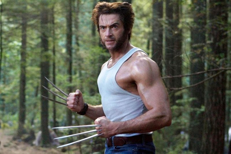wolverine