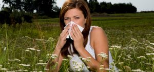 ¿Cómo combatir la molesta alergia?