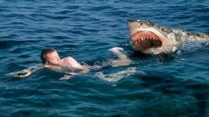 Hombre graba cómo es atacado por un tiburón