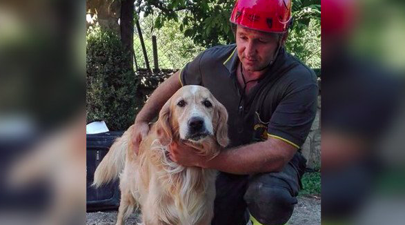 Captura de pantalla 2016-09-05 a las 10.35.14 p.m.