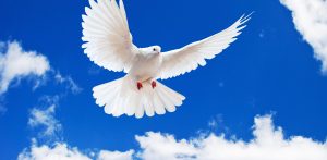 ¡Periodo de paz y equilibrio en Los Mensajes de Cupido!