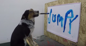 ¡Impresionante! Este perro sabe escribir su nombre