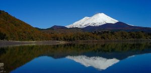 #DíaMundialDelMedioAmbiente Te recomendamos 5 parques nacionales para recorrer gratis