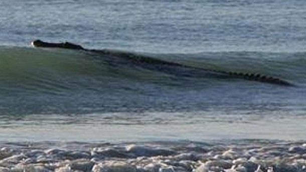 Joven grabó el momento en que un cocodrilo lo atacó