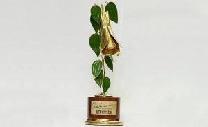 Conoce los nominados a los Copihues de oro 2016