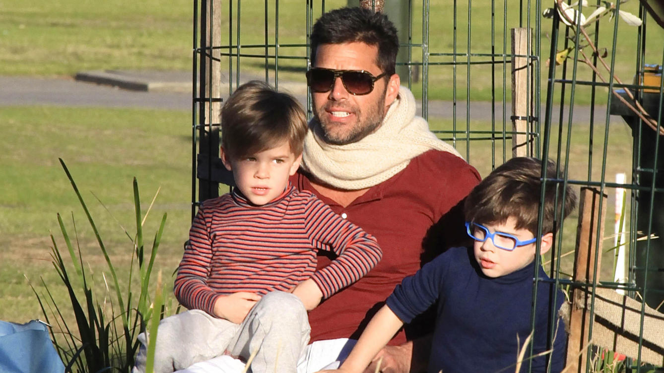 La foto de Ricky Martin que revelaría la identidad de la madre de sus gemelos