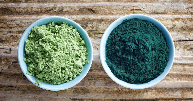 bowl of spirulina algae powder and wheat sprout powder on wooden background