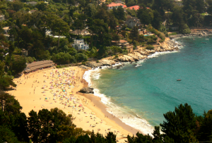 Empate en elecciones de Zapallar generó controversia y así reaccionaron en redes sociales