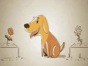 ¿Por qué es bueno dejar que tu perro olfatee todo?